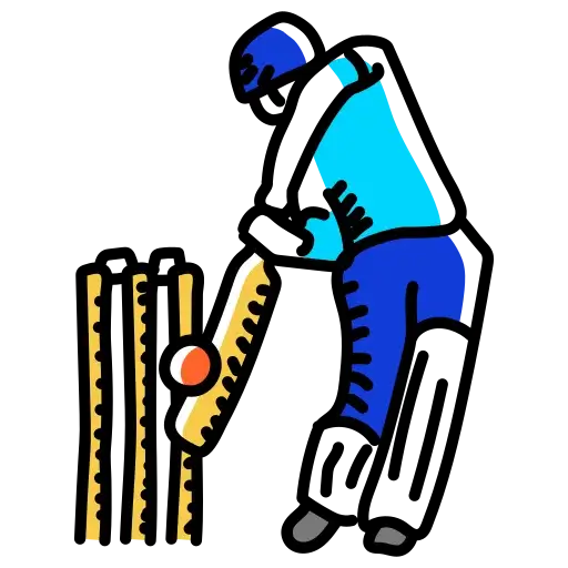 Cricket practice pitch at Vega Adonia